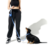 Furry & Co Weatherproof Collar and Leash for Dogs Combo (Everest Blue) - M Dogs-Collar, Leashes, harnesses Furry & Co