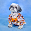Dogobow Doggo Print Shirt for Dogs (Orange/White) Dogs-Clothing & Accessories Dogobow Dropship