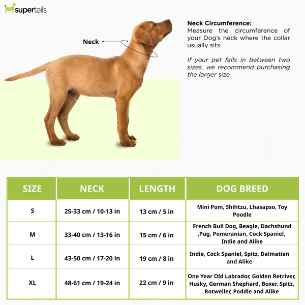 Dogobow Velvet Tuxedo Vest Bandana for Dogs (Green) (Get a Bow Free)