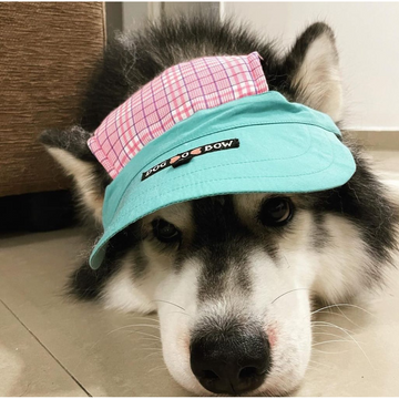 Dogobow Gingham Baseball Cap for Dogs and Cats (Teal/Pink) (Get a Bow Free)