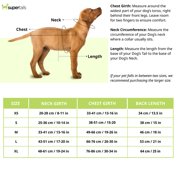 Dogobow Layered Dress For Dogs (Pink) (Get a Bow Free)