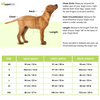 Dogobow Dino Hoodie for Dogs and Cats (Red) (Get a Bow Free)