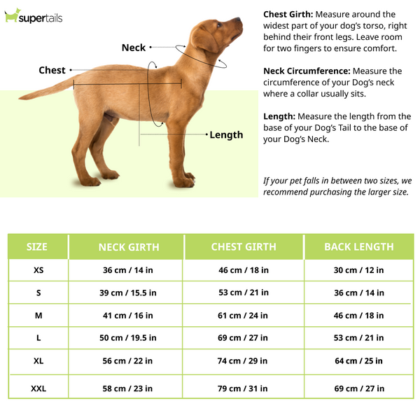 Dogobow Dino Sweater for Dogs and Cats (Red) (Get a Bow Free)