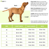 Dogobow Sun Kissed Knit Sweater for Dogs and Cats (Yellow) (Get a Bow Free) Both-Clothing & Accessories Dogobow Dropship