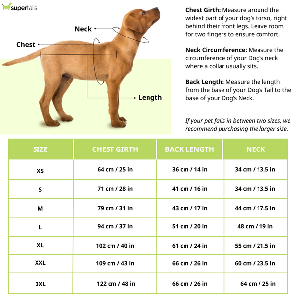 15buttons Limon Shirt for Dogs