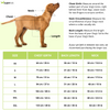 15buttons Limon Shirt for Dogs
