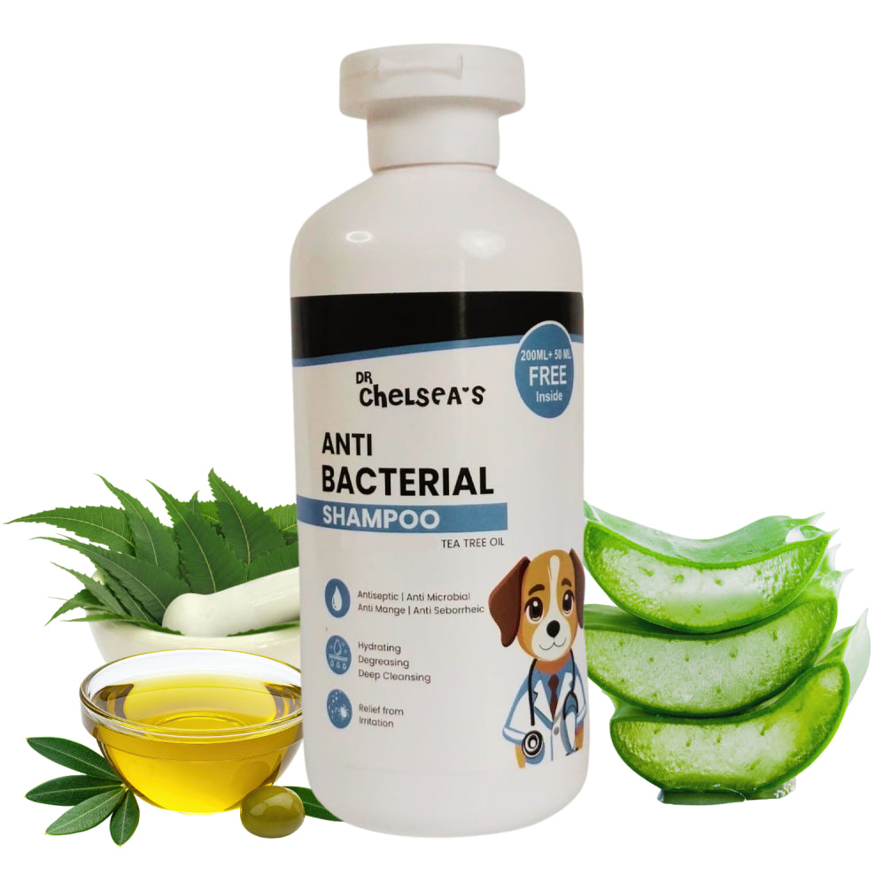 Dr. Chelsea’s Anti Bacterial Shampoo for Dogs & Cats Both-Grooming Supplies Dr. Chelsea's Dropship 300mL