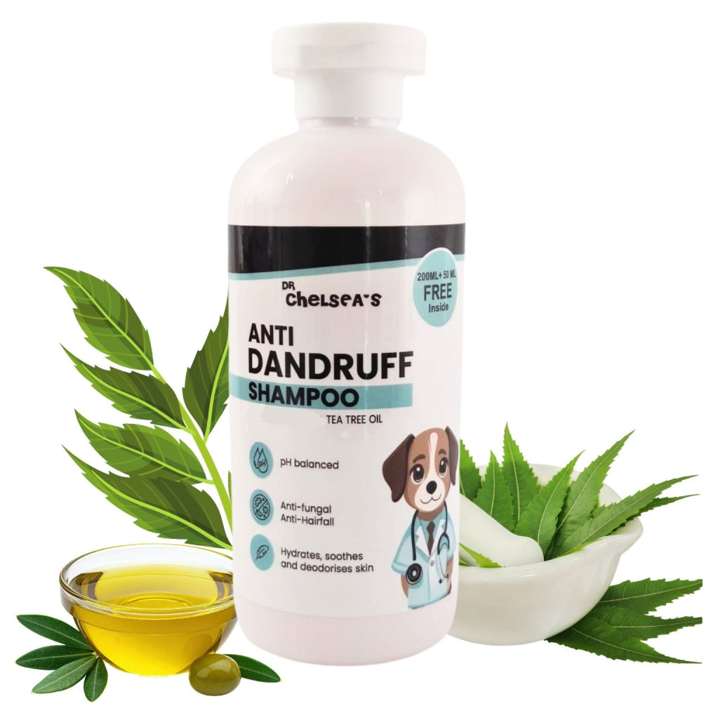 Dr. Chelsea’s Anti Dandruff Shampoo for Dogs & Cats Both-Grooming Supplies Dr. Chelsea's Dropship 300mL
