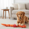 Zippy Paws Zippy Dragonz Plush Squeaky Toy for Dogs (Red) Dogs-Toys Zippy Paws