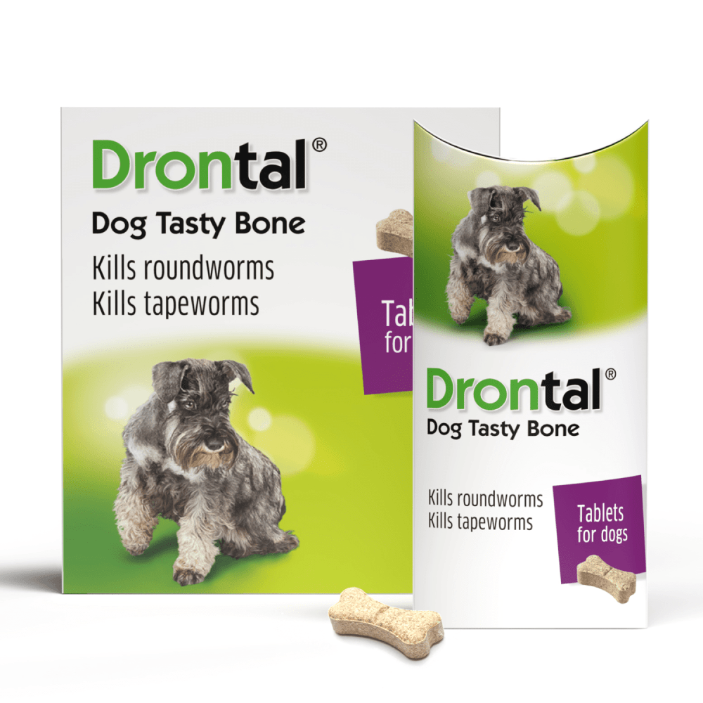 Drontal Plus Tasty Deworming Tablet (pack of 6 tablets) and MSD Animal Health Bravecto (20-40kg) Combo