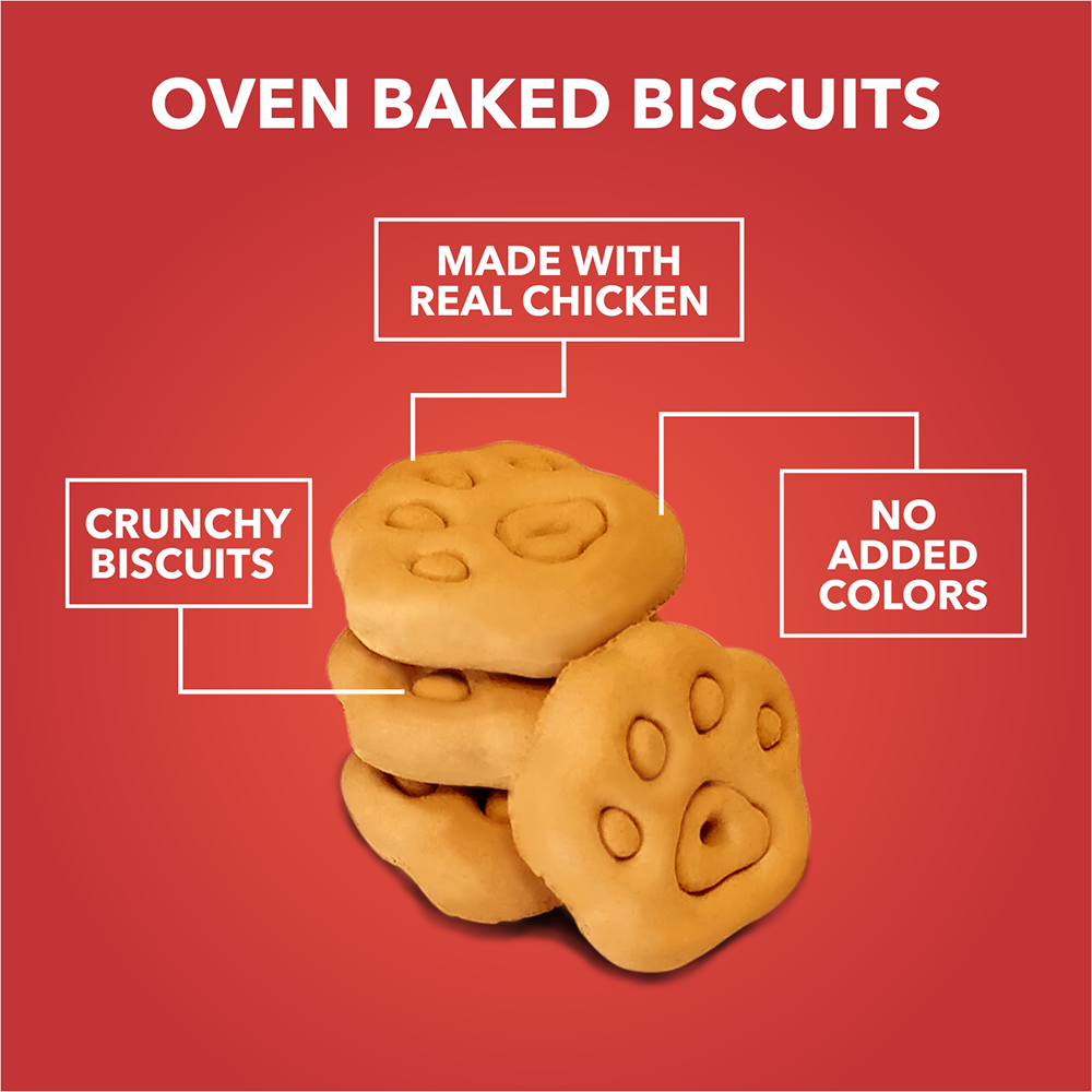 Drools Chicken and Egg Biscuit Dog Treats Dog Treats + Others Drools