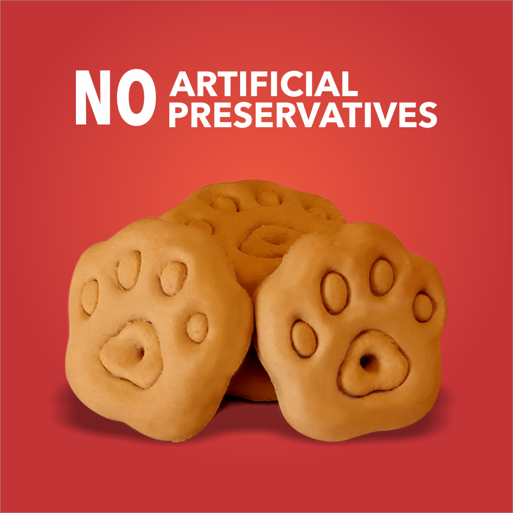 Drools Chicken and Egg Biscuit Dog Treats Dog Treats + Others Drools