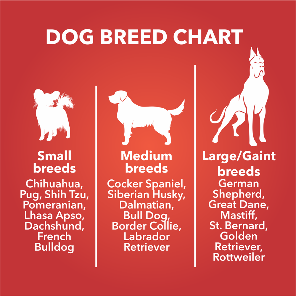 Drools Chicken and Egg Biscuit Dog Treats Dog Treats + Others Drools