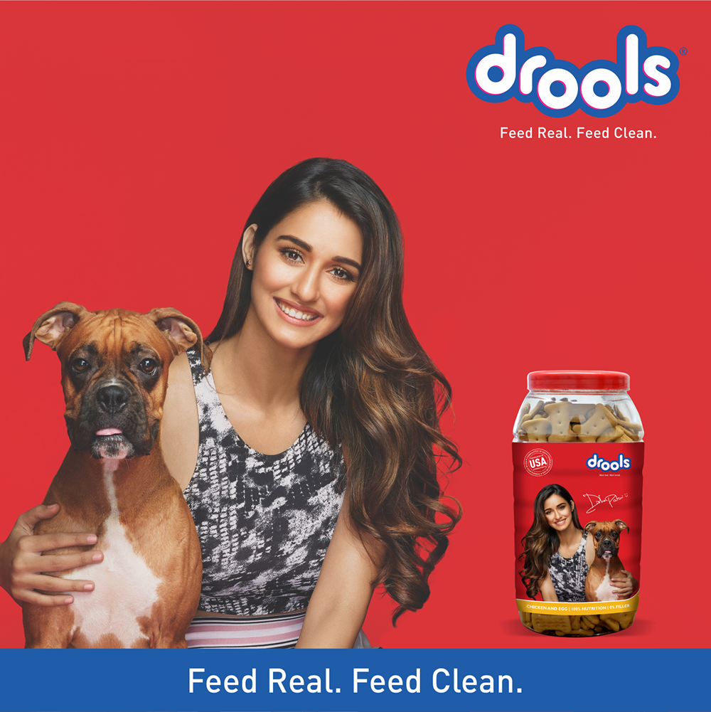 Drools Chicken and Egg Biscuit Dog Treats Dog Treats + Others Drools