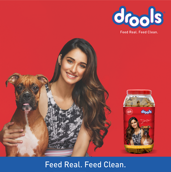 Drools Chicken and Egg Biscuit Dog Treats