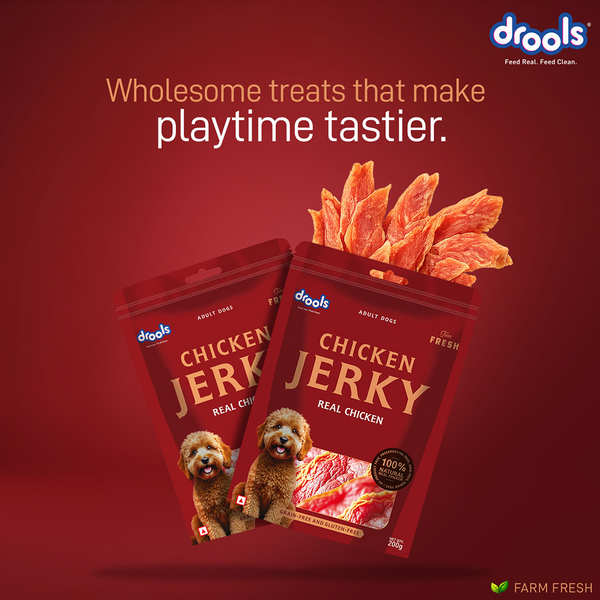 Drools Chicken Jerky Dog Treats