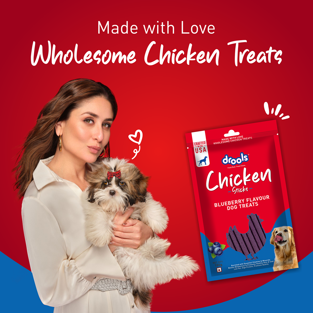 Drools Blueberry Flavour Chicken Sticks Treat for Dogs Dog Treats + Others Drools