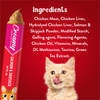 Drools Salmon & Skipjack Creamy Cat Treats Cats-Treats & Others Drools
