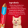 Drools Seafood Medley Creamy Cat Treats Cats-Treats & Others Drools