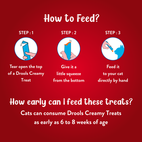 Drools Seafood Medley Creamy Cat Treats