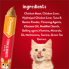 Drools Tuna & Bunito Creamy Cat Treats Cats-Treats & Others Drools