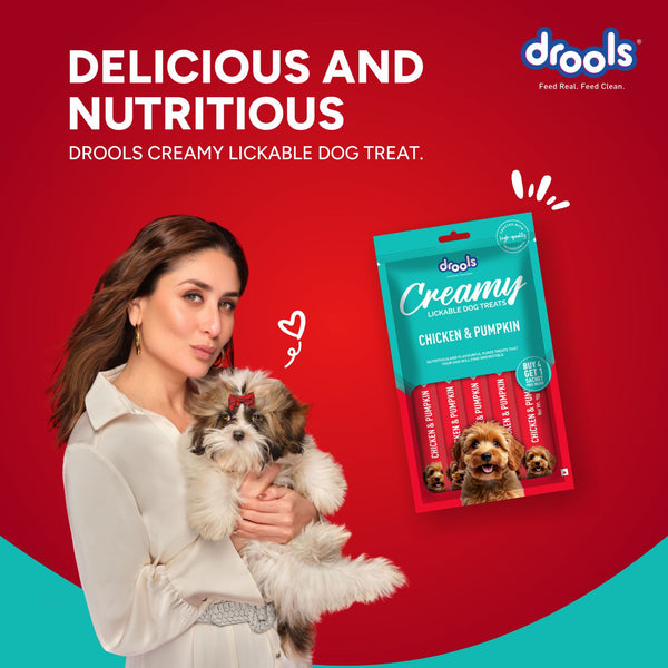 Drools Chicken & Pumpkin Creamy Dog Treats