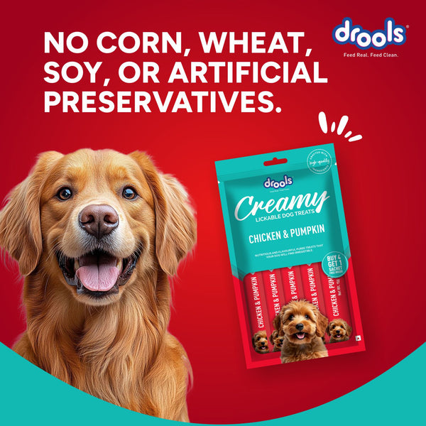 Drools Chicken & Pumpkin Creamy Dog Treats