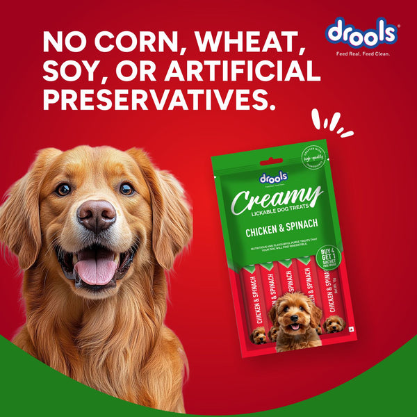 Drools Chicken & Spinach Creamy Dog Treats