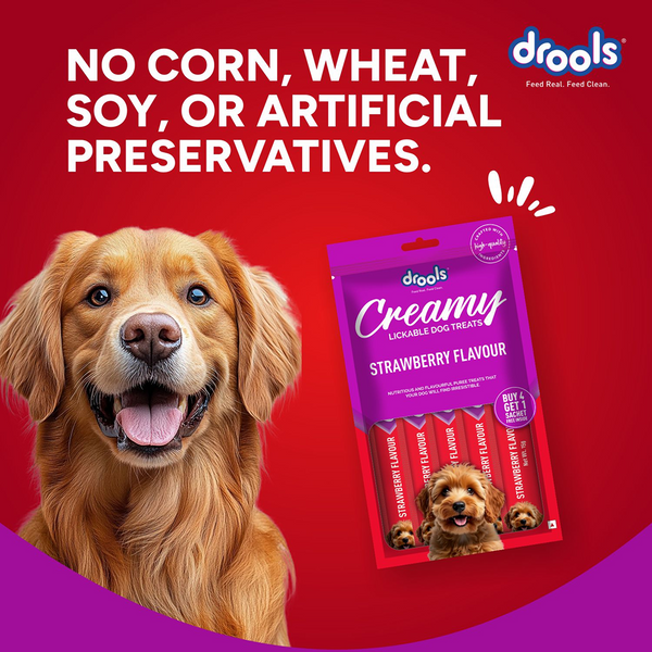 Drools Strawberry Creamy Dog Treats
