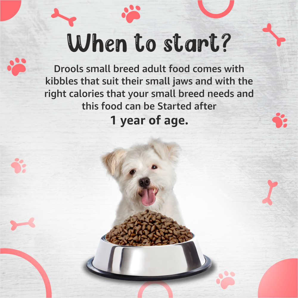 Drools Premium Small Breed Adult Dog Dry Food