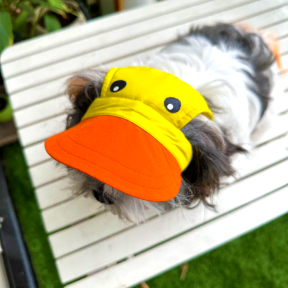 Dogobow Duckie Cap for Dogs and Cats (Yellow/Orange) (Get a Bow Free)