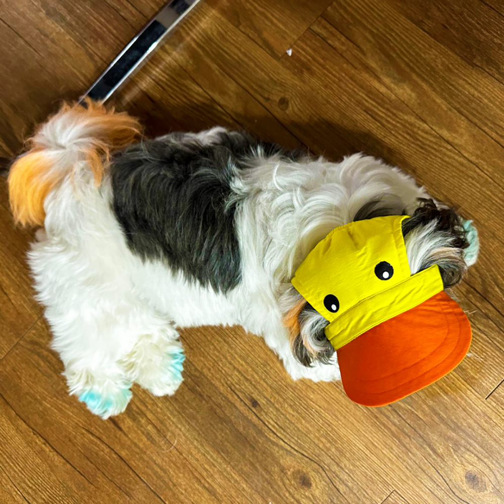 Dogobow Duckie Cap for Dogs and Cats (Yellow/Orange) (Get a Bow Free)