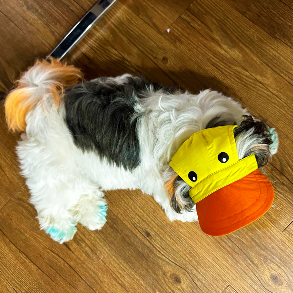 Dogobow Duckie Cap for Dogs and Cats (Yellow/Orange) (Get a Bow Free) Dogs-Clothing & Accessories Dogobow Dropship S