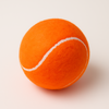 Talking Dog Club Tennis Ball Toy for Dogs (Orange) Dogs-Toys Talking Dog Club Dropship