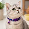 Talking Dog Club Everyday Collar with Sea Horse Bell for Cats (Navy/Purple) Cats-Collar, Leashes, harnesses Talking Dog Club Dropship