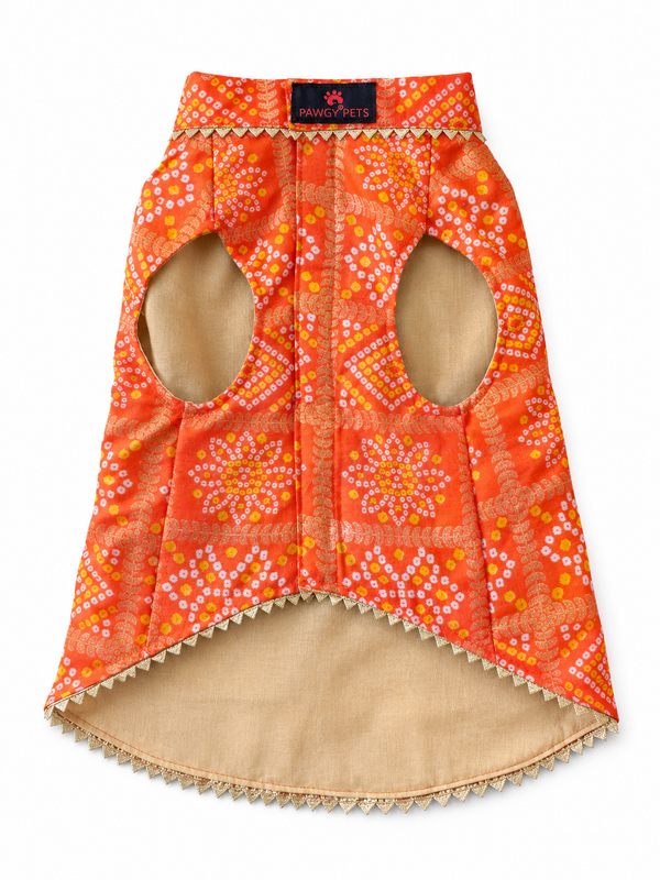 Pawgy Pets Bandhani Kurta for Dogs (Orange)