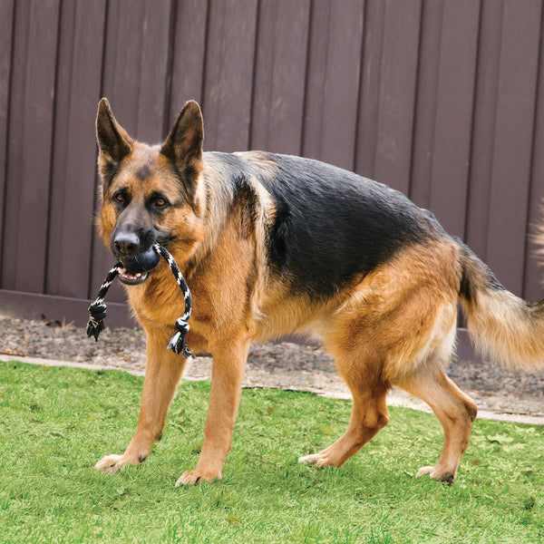 Kong Extreme Ball with Rope Toy for Dogs (Black)
