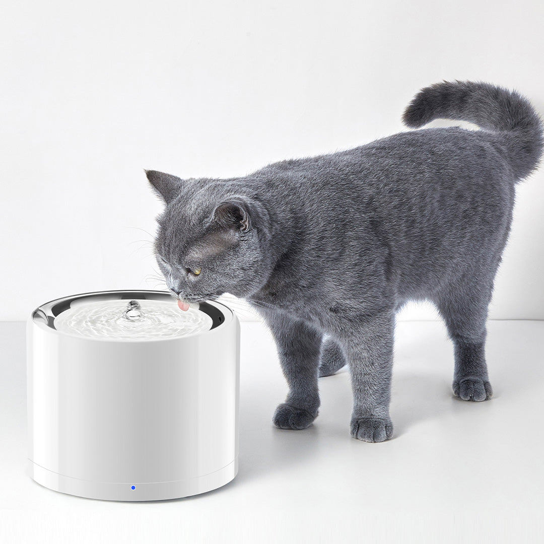 Petkit Eversweet 3 Pro Smart Automatic Water Fountain with Wireless Pump for Cats & Dogs (White) Sample Supertails