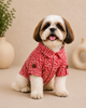 Pawgypets Cotton with Mandarin Collar Kurta for Dogs (Rust) Dogs-Clothing & Accessories Pawgypets Dropship