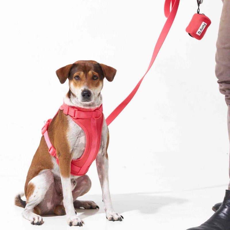 Furry & Co Bold Harness, Collar and Leash for Dogs Combo (Coral Red)