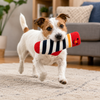 Talking Dog Club Mr.Socks Stripy Squeaker Plush Toy for Dogs (Red/Black) Dogs-Toys Talking Dog Club Dropship
