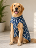 Pawgypets Mul Cotton Kurta for Dogs (Indigo) Dogs-Clothing & Accessories Pawgypets Dropship XXS
