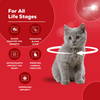 Venttura Ferro Blood Booster & Immunity Supplement for Cats Cats-Health & Wellness Venttura