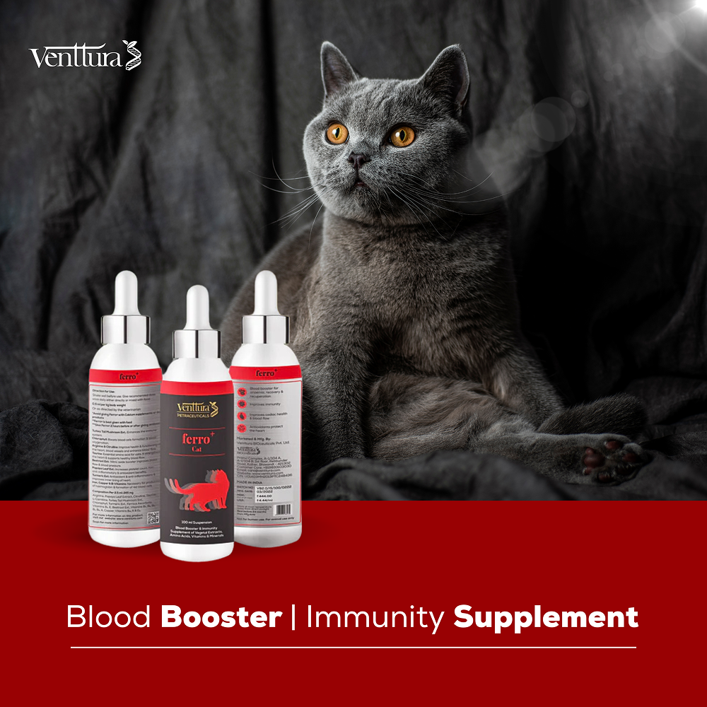 Buy Venttura Ferro Blood Booster & Immunity Supplement for Cats