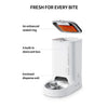 Whiskas Ocean Fish Flavour Dry Food & Petkit Freshelement Solo Automatic 2.4G WiFi Food Dispenser Adult Cat Combo Cats- Dry food Whiskas