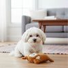 Fofos Monkey Squeaky Puppy Toy for Dogs Dogs-Toys FOFOS