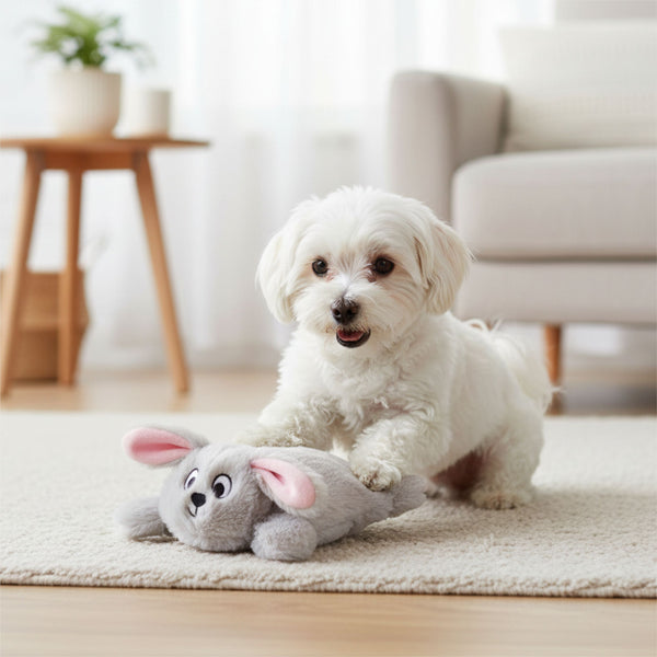 Fofos Rabbit Squeaky Puppy Toy for Dogs