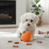 Fofos Easter Egg Shaped Rubber Treat Dispenser for Dogs (Blue and Orange) Dogs-Toys FOFOS