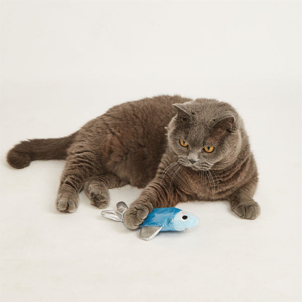 Fofos Sardine Dancing Fish USB Rechargeable Toy for Cats