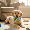 Fofos Double Ring Sports Toy for Dogs Dogs-Toys FOFOS